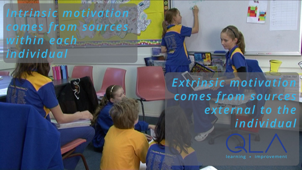 intrinsic motivation stems from sources within the individual, extrinsic motivation from sources external to the individual