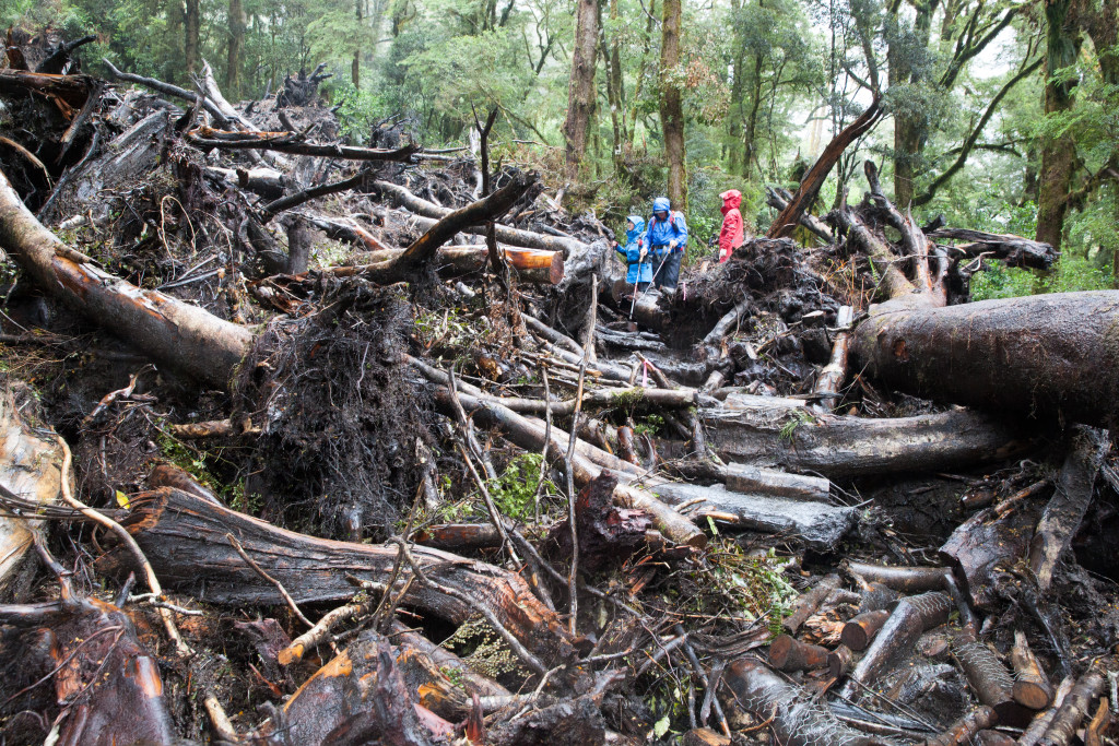 Guides were always on hand to help us though hazardous sections of track, in this case the site of a recent avalanche. 