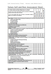 Values and Behaviours Self-assessment: Consultancy Team