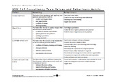 Values and Behaviours: Consultancy Team